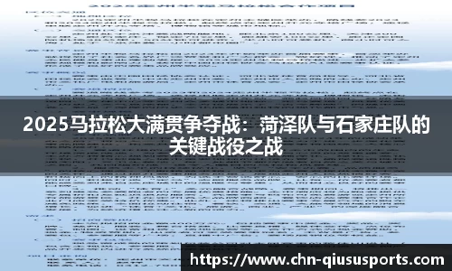 2025马拉松大满贯争夺战：菏泽队与石家庄队的关键战役之战