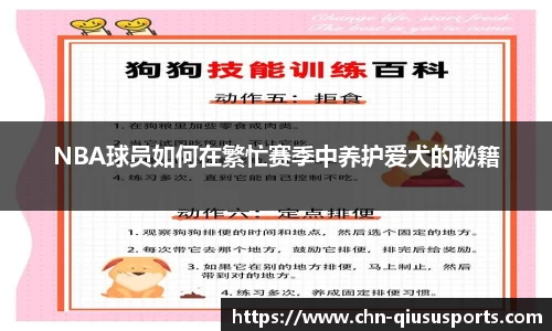球速体育官方网站