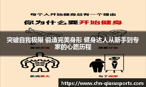 球速体育平台